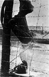 Buchenwald, 16 a viz Ebrel 1945 - Luc'hskeudenn Jules Rouard
