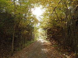 Cataraqui Trail east of Chaffey's Lock DSCN2187r.jpg