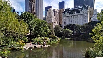 The Pond, looking south, with the Plaza Hotel in view