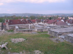 Vestiges de la forteresse de Châtel-sur-Moselle