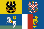 Знаме на Моравско-Силезски регион.svg