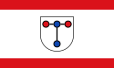 Troisdorf – Bandiera