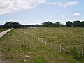 Fietspad langs het Laarder Wasmeer