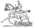 Horse trainer desensitizing a horse to accept a riding habit's fluttering