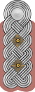 Знак отличия Вермахта Heer Colonel 1.svg