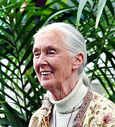 Jane Morris Goodall