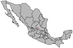 San Luis Potosí, Mishiku