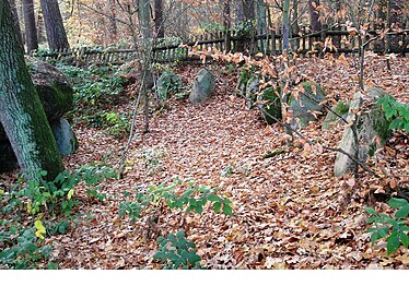 Die nordwestlich gelegenen Stützsteine am Großsteingrab Lübeck-Blankensee