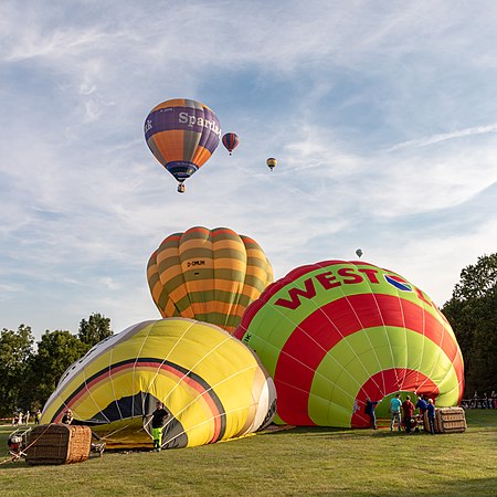 2019年第49届热气球嘉年华上所见的热气球，嘉年华本月将再次假德国西部城市明斯特举行。