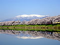 2015年1月24日 (土) 14:22時点における版のサムネイル