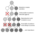 תמונה ממוזערת לגרסה מ־18:29, 9 ביולי 2007