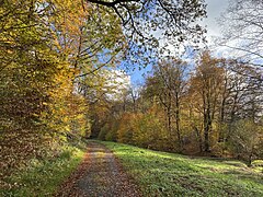 Bachtal der Kückesbeeke