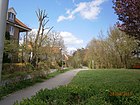 Wiesenschlag von Am Rohrgarten nordwärts durch den Park