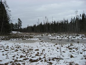 Peri uja Sitikoron 2008. a. urbõkuun