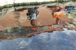 Two people reflected in a fish pond