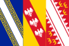 Proposed design for a flag of Grand Est.svg