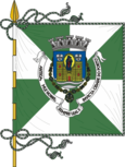 Bandyera de Oporto
