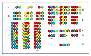 Recursive deconvolution. Blue, yellow and red circles: amino acids, Green circle: solid support Recursive deconvolution.png