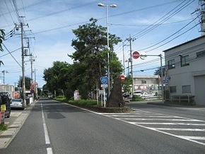 Route 254 Saitama Pref Fujimino City 1.JPG