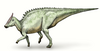 Artist's restoration of Saurolophus.