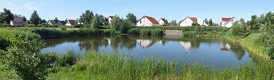 Der Teich im Schönauer Viertel