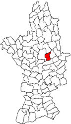 Location in Olt County