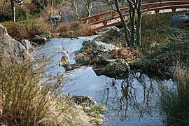 Blick von der Quelle über die Kaskaden zur Brücke (2016)