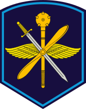 Нарукавный знак командования дальней авиации ВВС России