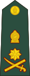 Нагрудный знак генерала армии Шри-Ланки.
