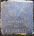 Stolpersteine für eine Rommni (Peterstraße 31)