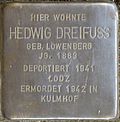 Stolperstein für Hedwig Dreifuss (Siemensstraße 29)