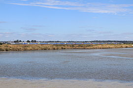 Rame TGV Atlantique dans les marais salants du Pouliguen.