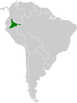 Distribución geográfica del picoplano ojinaranja.