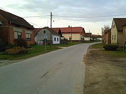 Kozarevac, ulica