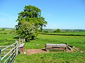 Farmland by the village (Upper Monkton)