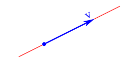 A straight line described by the vector v