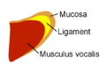 14:30, 15 Ҫурла уйӑхӗн 2007 вӑхӑтри версийĕн миниатюри