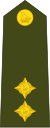 Зимбабве-Армия-OF-1b.svg