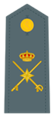 Divisa de general de brigada (Guardia Civil)