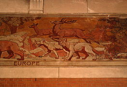 Europe (loups et cerfs).