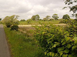 English: Alien invader Is any part of the coun...