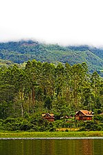 Miniatura para Reserva comunal Yánesha