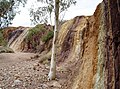 Die der Ochre Pits - von Aborigines genutzten Ocker-Gruben