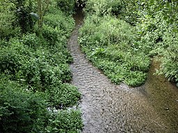 Berkhamsted-River Bulbourne - geograph.org.uk - 1310920.jpg