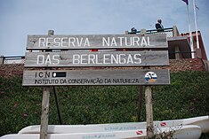 Berlenga Natural Welcome sign.jpg