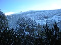 Bjelašnica summit as seen from Josipova Staze