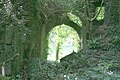 Les ruines du château de Beaucours 1.