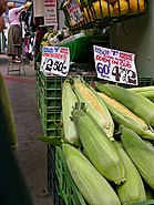 Hoja todavía verde