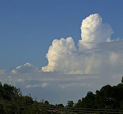 Contoh awan kumulus kongestus terlihat di kejauhan.