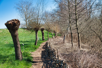 Duedingermoeser Grasstreifen Kopfweiden Weidengeflecht